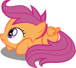 Size: 858x777 | Tagged: safe, artist:petalfluff, scootaloo, pegasus, pony, g4, lesson zero, blank flank, cowering, cute, cutealoo, female, filly, foal, folded wings, looking up, lying down, prone, scared, simple background, solo, transparent background, vector, wings