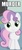 Size: 186x418 | Tagged: safe, sweetie belle, pony, g4, c:, dissonant caption, female, head tilt, image macro, looking at you, murder, one word, smiling, solo, text