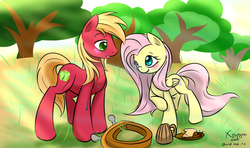 Size: 5080x3000 | Tagged: dead source, safe, artist:xcopyen002, big macintosh, fluttershy, earth pony, pony, g4, female, male, ship:fluttermac, shipping, stallion, straight