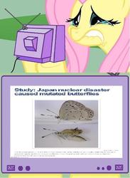 Size: 564x772 | Tagged: safe, fluttershy, pony, g4, exploitable meme, meme, mutant butterflies, tv meme