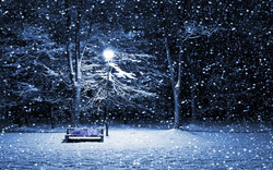 Size: 1920x1200 | Tagged: safe, princess luna, pony, g4, bench, irl, light, park, photo, ponies in real life, s1 luna, sleeping, snow, snowfall, solo
