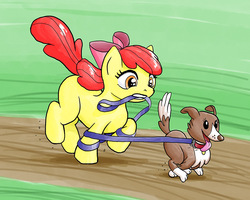Size: 1000x800 | Tagged: safe, artist:muffinshire, apple bloom, winona, dog, earth pony, pony, g4, female, filly, leash, tangled up