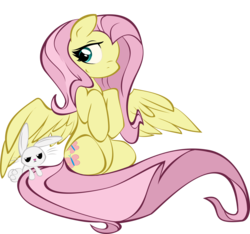 Size: 2483x2327 | Tagged: safe, artist:lavile, angel bunny, fluttershy, g4, female, high res, mare, simple background, transparent background