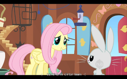 Size: 768x480 | Tagged: safe, screencap, angel bunny, fluttershy, g4, putting your hoof down, bill clinton, hub logo, youtube caption