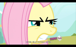 Size: 768x480 | Tagged: safe, screencap, fluttershy, g4, putting your hoof down, hub logo, youtube caption