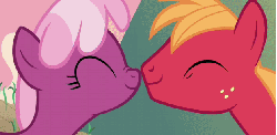Size: 621x304 | Tagged: safe, screencap, big macintosh, cheerilee, earth pony, pony, g4, hearts and hooves day (episode), animated, boop, hearts and hooves day, loop, male, noseboop, nuzzling, ship:cheerimac, shipping, stallion, straight