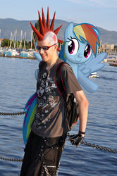 Size: 400x602 | Tagged: safe, artist:metadragonart, rainbow dash, g4, brony, canada, mohawk, photo