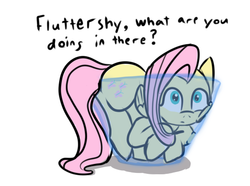 Size: 554x413 | Tagged: safe, artist:tanmansmantan, fluttershy, pegasus, pony, g4, behaving like a cat, bowl, cute, dialogue, female, if i fits i sits, shyabetes, simple background, solo, white background