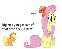 Size: 482x382 | Tagged: safe, applejack, big macintosh, fluttershy, earth pony, pony, g4, male, stallion