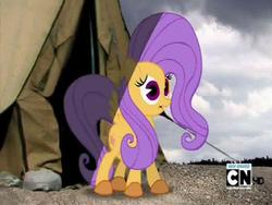 Size: 768x576 | Tagged: safe, screencap, fluttershy, pony, g4, cartoon network, expy, mad (tv series), mad magazine, my little war horse, pony cameo, pony reference, tent, youtube link