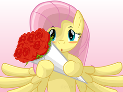 Size: 1024x768 | Tagged: safe, artist:dekomaru, fluttershy, pony, g4, blushing, cute, daaaaaaaaaaaw, dekomaru is trying to murder us, female, flower, rose, solo