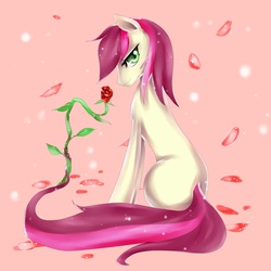 Size: 3000x3000 | Tagged: safe, artist:edahi, roseluck, pony, g4, female, flower, high res, rose, solo