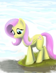 Size: 776x1009 | Tagged: safe, artist:gsphere, fluttershy, pony, g4, female, solo, water