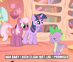 Size: 652x556 | Tagged: safe, edit, edited screencap, screencap, cheerilee, spike, twilight sparkle, g4, the show stoppers, caption, implied
