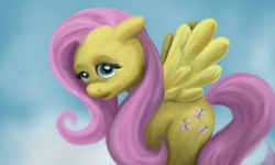 Size: 1024x616 | Tagged: safe, artist:jenniferelluin, fluttershy, pegasus, pony, g4, female, floppy ears, looking at you, mare, solo, spread wings, wings