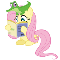 Size: 500x500 | Tagged: safe, artist:ze3z, fluttershy, gummy, alligator, pegasus, pony, g4, book, reading, simple background, transparent background