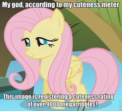 Size: 600x549 | Tagged: safe, fluttershy, pegasus, pony, g4, caption, cute, female, folded wings, image macro, mare, over 9000, smiling, solo, text, tribble, wings