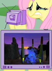 Size: 437x600 | Tagged: safe, fluttershy, pony, g4, beast wars, death, dinobot, exploitable meme, funeral, meme, transformers, tv meme