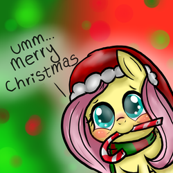Size: 3000x3000 | Tagged: dead source, safe, artist:sweetscribblez, fluttershy, g4, candy cane, christmas, cute, high res, shyabetes