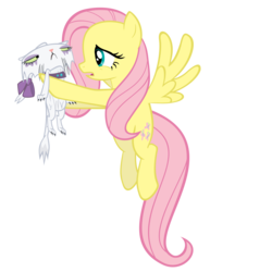 Size: 3000x3000 | Tagged: dead source, safe, artist:iocainepower, fluttershy, opalescence, cat, pegasus, pony, g4, sweet and elite, duo, duo female, female, flying, high res, mare, opalabuse, opalescence is not amused, open mouth, simple background, spread wings, transparent background, unamused, vector, wet, wet hair
