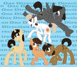 Size: 800x700 | Tagged: safe, artist:ditzydoolover, band, one direction, ponified