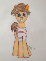 Size: 1280x1707 | Tagged: safe, louis tomlinson, one direction, ponified, traditional art