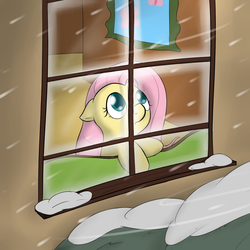 Size: 1000x1000 | Tagged: safe, artist:theparagon, fluttershy, pony, g4, female, snow, snowfall, solo, window