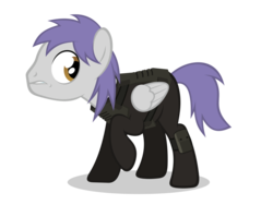 Size: 1024x768 | Tagged: safe, artist:misteraibo, oc, oc only, oc:sky raider, pegasus, pony, fallout equestria, g4, male, simple background, sky raider, solo, transparent background, vector