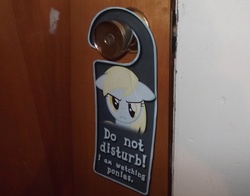 Size: 1200x943 | Tagged: safe, derpy hooves, pegasus, pony, g4, door, doornob hanger, female, mare