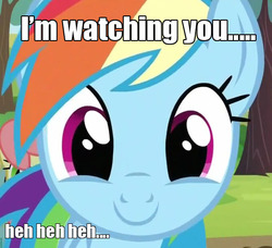 Size: 541x494 | Tagged: safe, rainbow dash, g4, fourth wall, image macro, meme, random, smiling, stare