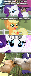 Size: 625x1524 | Tagged: safe, artist:lentoto, applejack, rarity, g4, female, hoers, kissing, lesbian, screencap comic, ship:rarijack, shipping