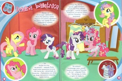 Size: 1660x1108 | Tagged: safe, fluttershy, pinkie pie, rarity, g4, official, polish