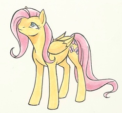 Size: 938x870 | Tagged: safe, artist:valkyrie-girl, fluttershy, pony, g4, female, solo, traditional art