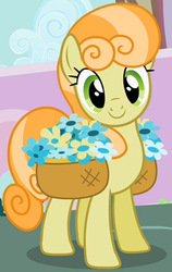 Size: 344x546 | Tagged: safe, screencap, junebug, earth pony, pony, g4, secret of my excess, basket, cropped, female, flower, solo