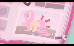 Size: 960x600 | Tagged: safe, screencap, fluttershy, g4, ponyville confidential, youtube caption