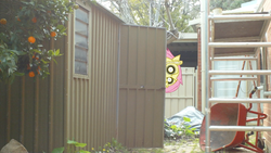 Size: 1058x595 | Tagged: safe, fluttershy, .mov, shed.mov, g4, fluttershed, irl, photo, ponies in real life, pony.mov