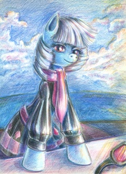 Size: 727x999 | Tagged: safe, artist:maytee, photo finish, earth pony, pony, g4, female, solo, traditional art