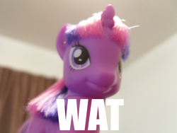 Size: 900x675 | Tagged: safe, twilight sparkle, g4, doll, reaction image, wat