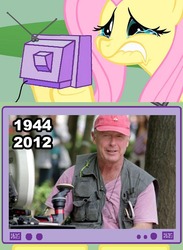 Size: 563x771 | Tagged: safe, fluttershy, pony, g4, exploitable meme, fluttercry, meme, tony scott, tv meme