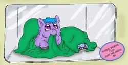Size: 800x411 | Tagged: safe, artist:meh, fluffy pony, blanket, cute, fluffy pony foal
