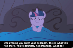 Size: 1024x672 | Tagged: safe, twilight sparkle, pony, unicorn, g4, bed, caption, cs captions, female, mare, meta, sleeping, smiling, solo