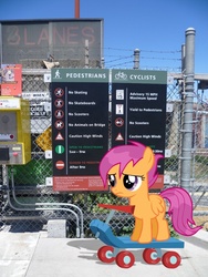 Size: 768x1024 | Tagged: safe, artist:jackofmosttrades, scootaloo, pony, g4, female, filly, foal, irl, photo, ponies in real life, sad, scooter, vector, wet mane