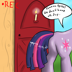 Size: 1024x1024 | Tagged: safe, twilight sparkle, pony, g4, ask, butt, female, mare, plot, solo