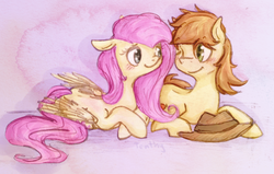 Size: 700x446 | Tagged: safe, artist:tenthy, braeburn, fluttershy, earth pony, pegasus, pony, g4, blushing, female, hat, male, mare, ship:braeshy, shipping, stallion, straight