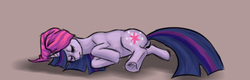 Size: 500x160 | Tagged: safe, artist:rhythmgeneration, twilight sparkle, g4, sleeping, towel, towel on head