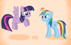 Size: 1296x827 | Tagged: safe, artist:phallen1, rainbow dash, twilight sparkle, pegasus, pony, unicorn, g4, alternate universe, pegasus twilight sparkle, race swap, unicorn rainbow dash