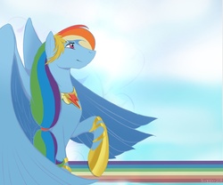 Size: 1180x981 | Tagged: safe, artist:scappo, rainbow dash, g4, element of loyalty, hoof shoes, large wings, long mane, looing up, princess shoes, rainbow, scrunchie, signature, sitting, wallpaper, wings