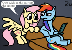 Size: 1000x694 | Tagged: safe, artist:leidenpierce, fluttershy, rainbow dash, g4, cat videos, computer, laptop computer