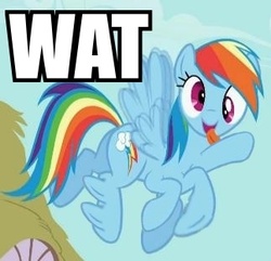 Size: 323x311 | Tagged: safe, rainbow dash, pegasus, pony, g4, derp, episode needed, female, great moments in animation, image macro, reaction image, smear frame, wat