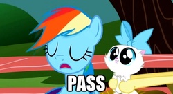 Size: 620x337 | Tagged: safe, mitsy, rainbow dash, cat, pegasus, pony, g4, may the best pet win, season 2, caption, eyes closed, find a pet, image macro, meme, puddy tat